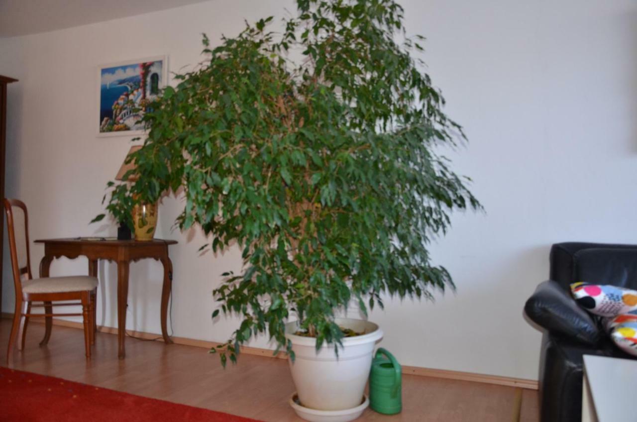 Ferienwohnung Pascale Mettlach Luaran gambar